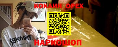 спиды Гай