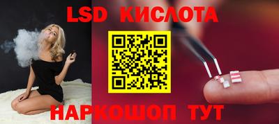 спиды Гай
