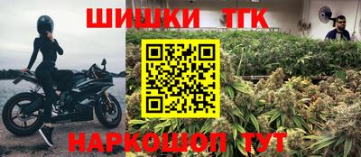 спиды Гай