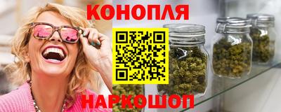 спиды Гай