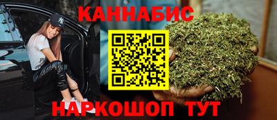 спиды Гай