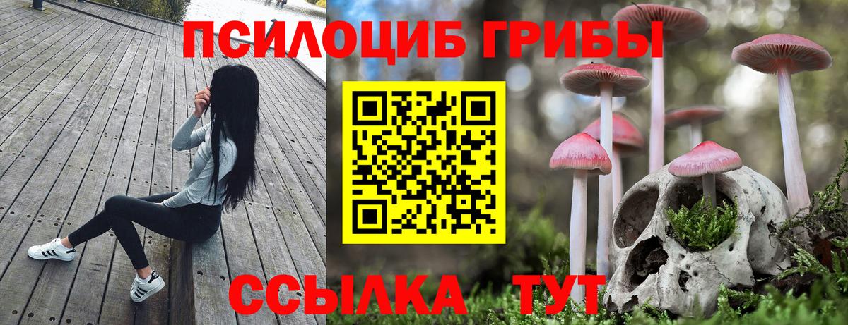 Псилоцибиновые грибы мицелий  Псилоцибиновые грибы прущие грибы  Касимов  Вход с VPN 